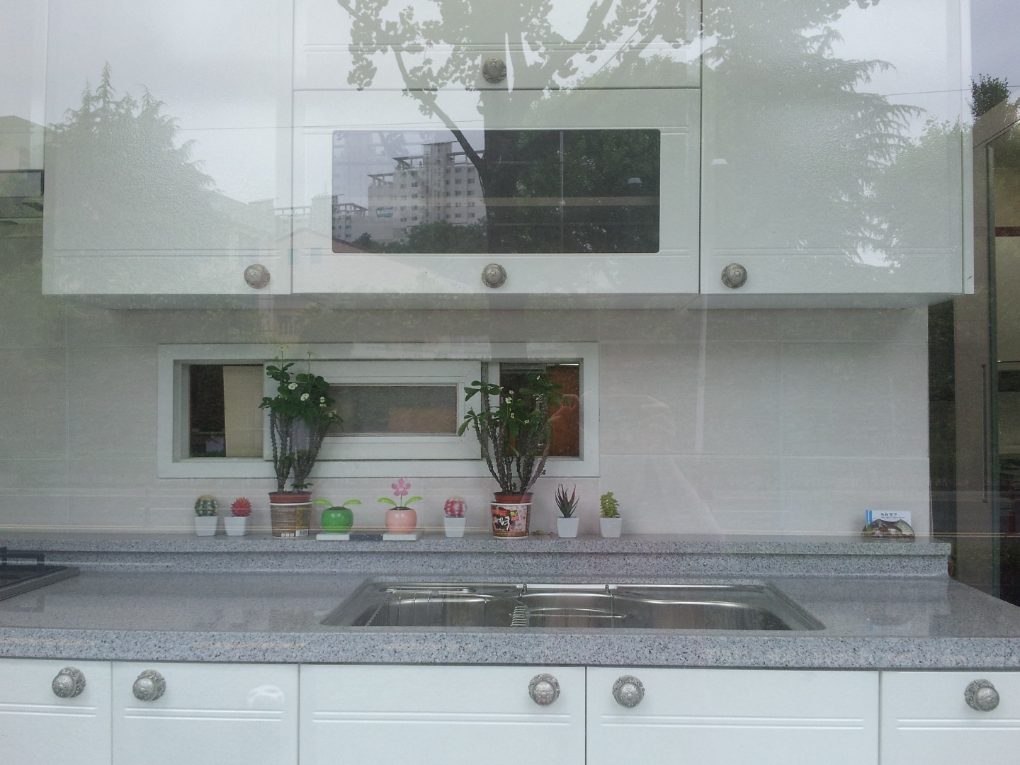 3695750758_uqWn2vDI_36a80bc9bed7cadc91b1a6b82ed2a339ae1c396f.jpg 이미지크게보기